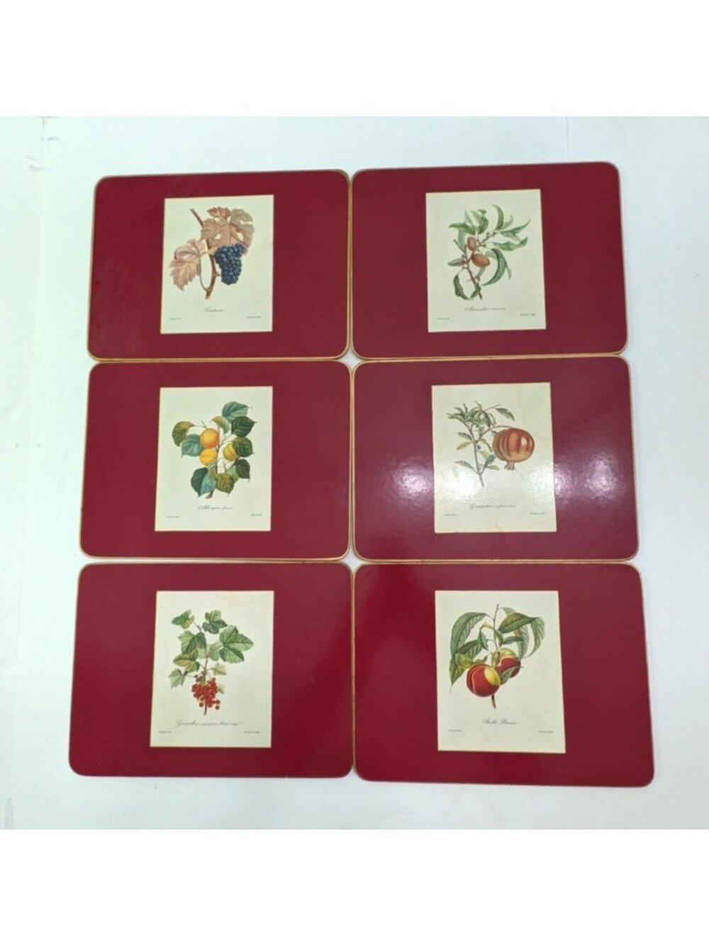 Vintage Placemat Coaster Set of 6 In Box Cork Back Fruit Botanical Prints